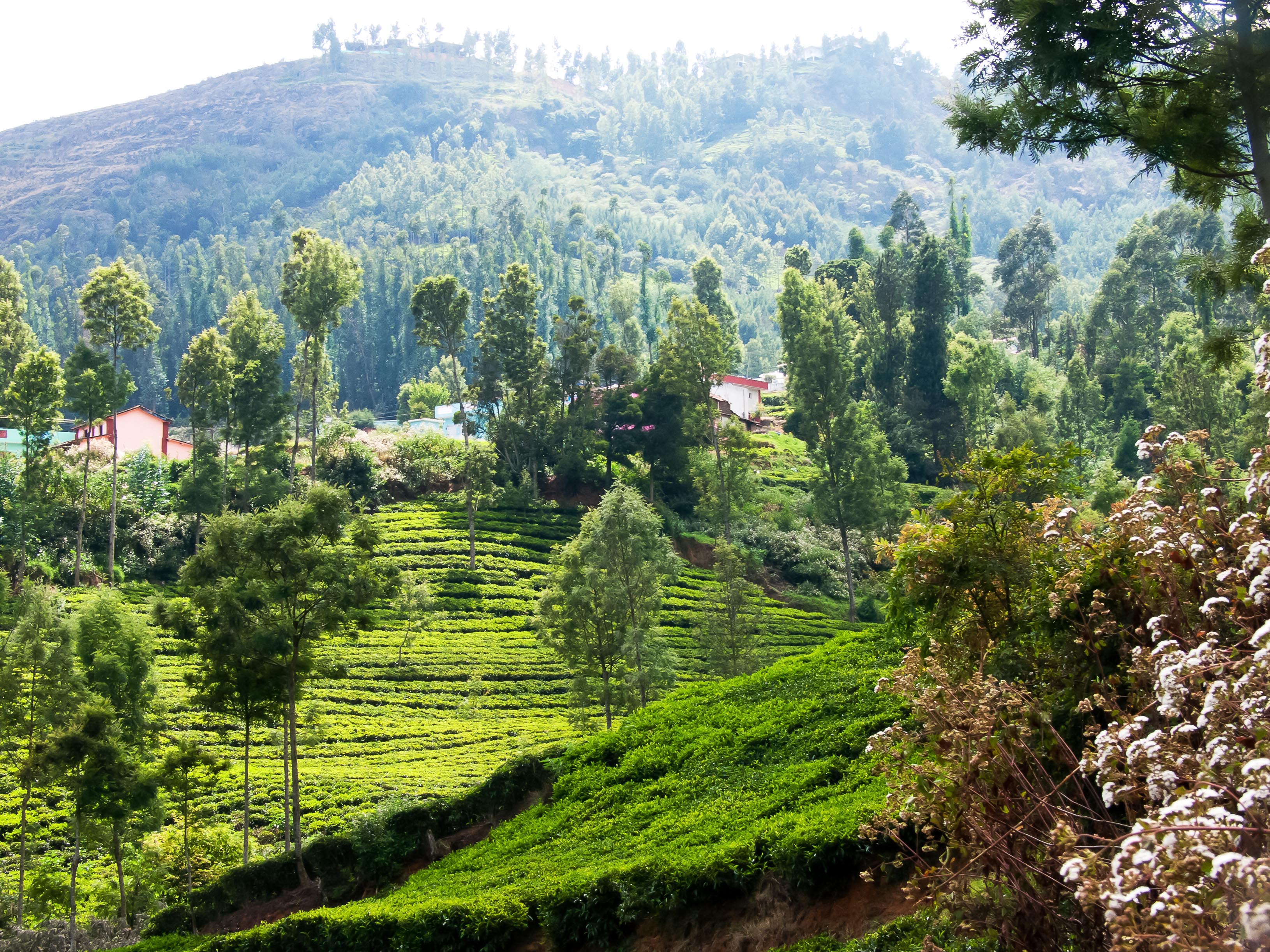 Kerada Village near Lovedale, Ooty