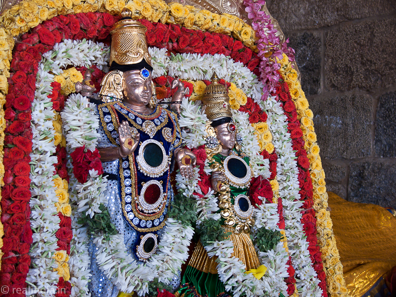 Ulsavar decorated for the evening procession.